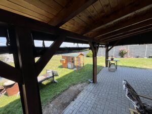 IMG_8286